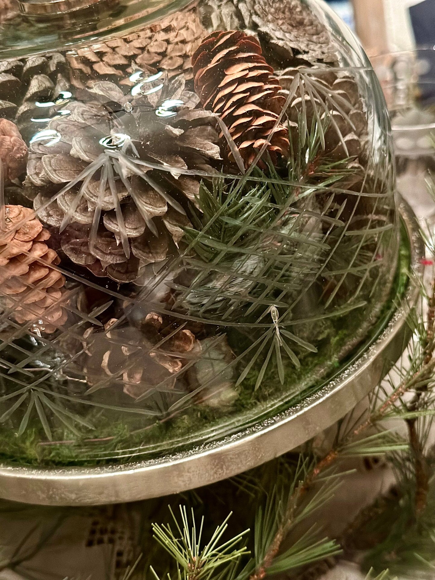 Etched Glass Antler Cloche (Only available in Collection)