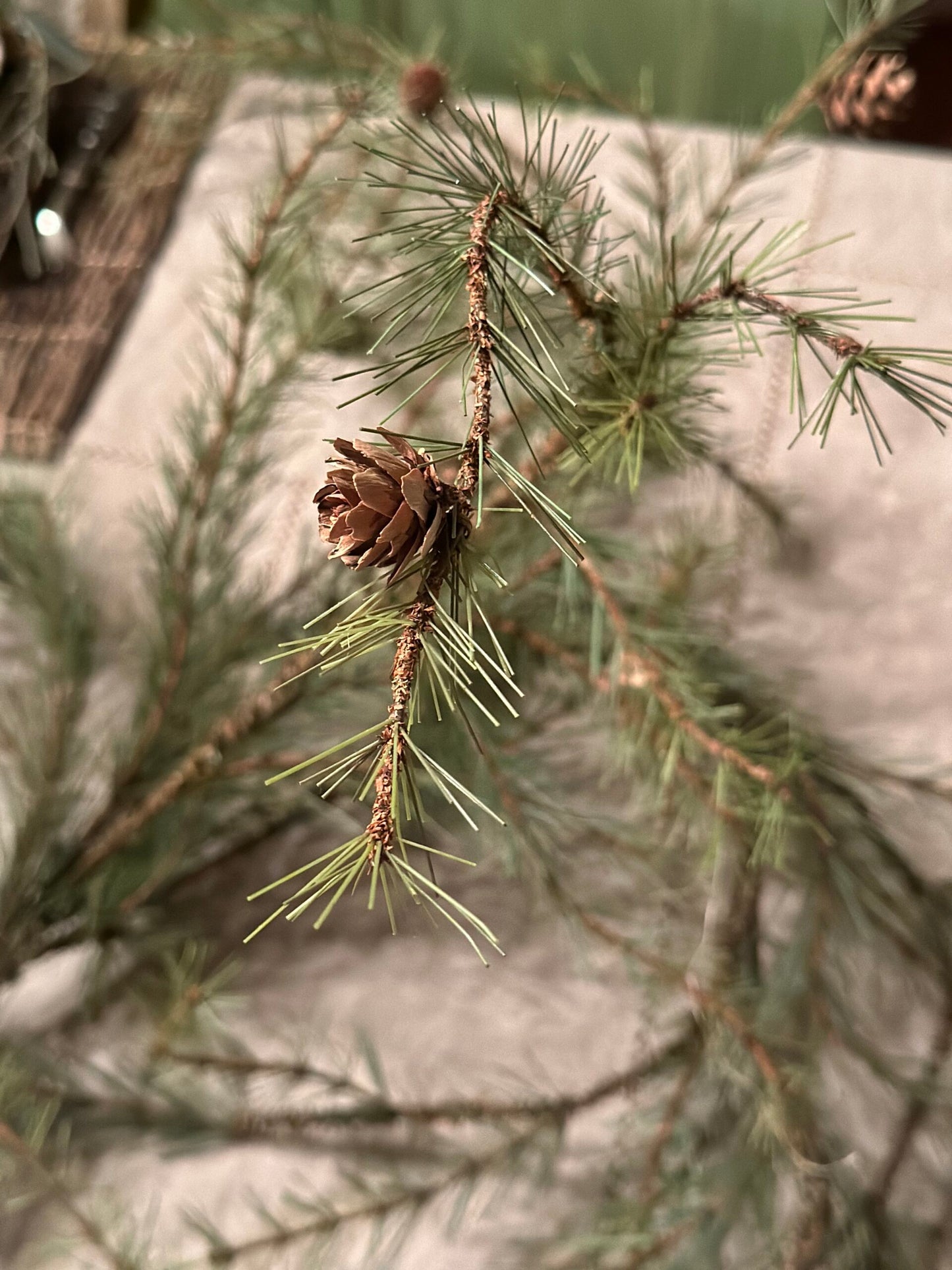 Stem of Pine Greenery (Only Available in Collection)