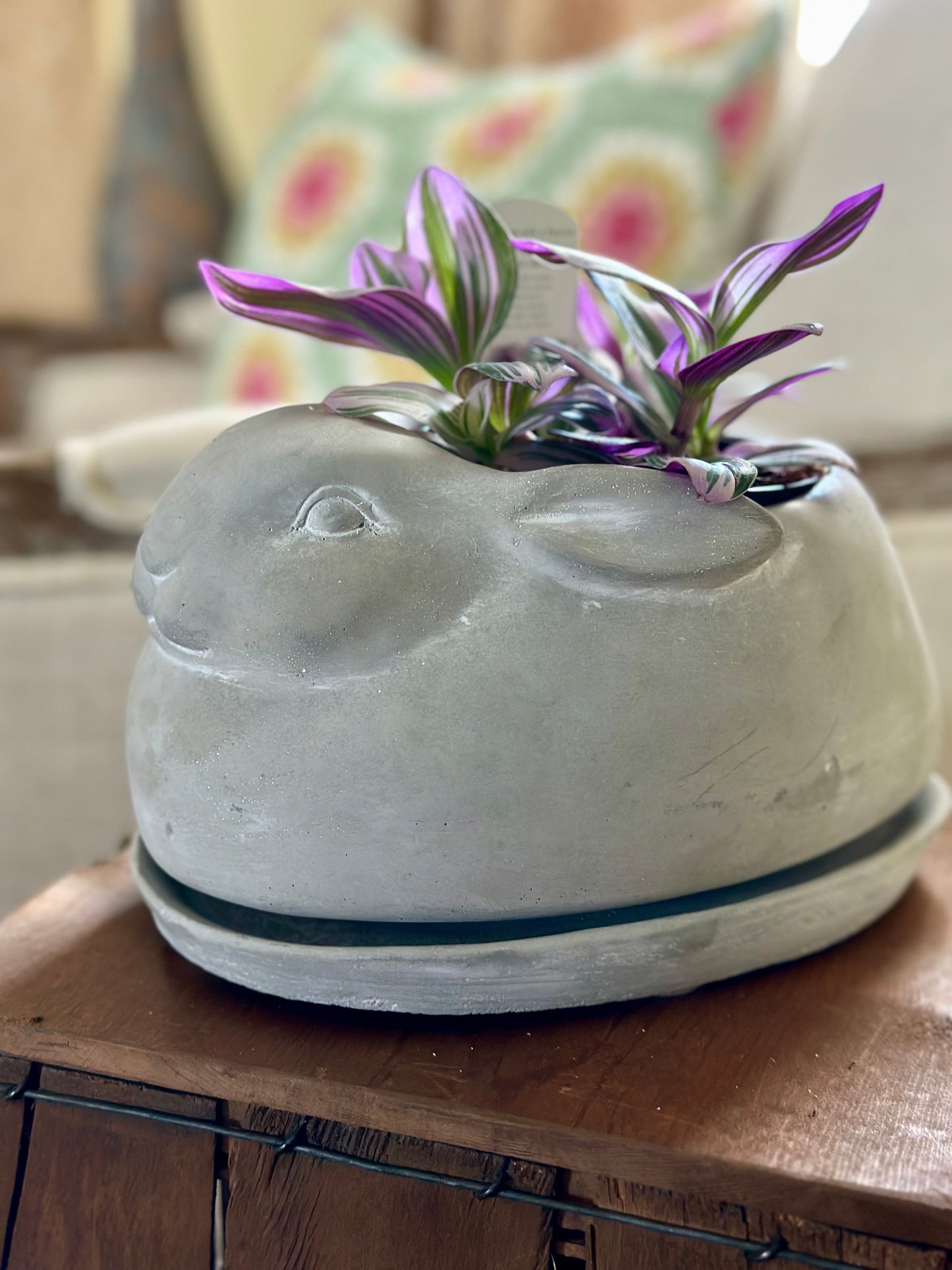 Rabbit Planter with Saucer