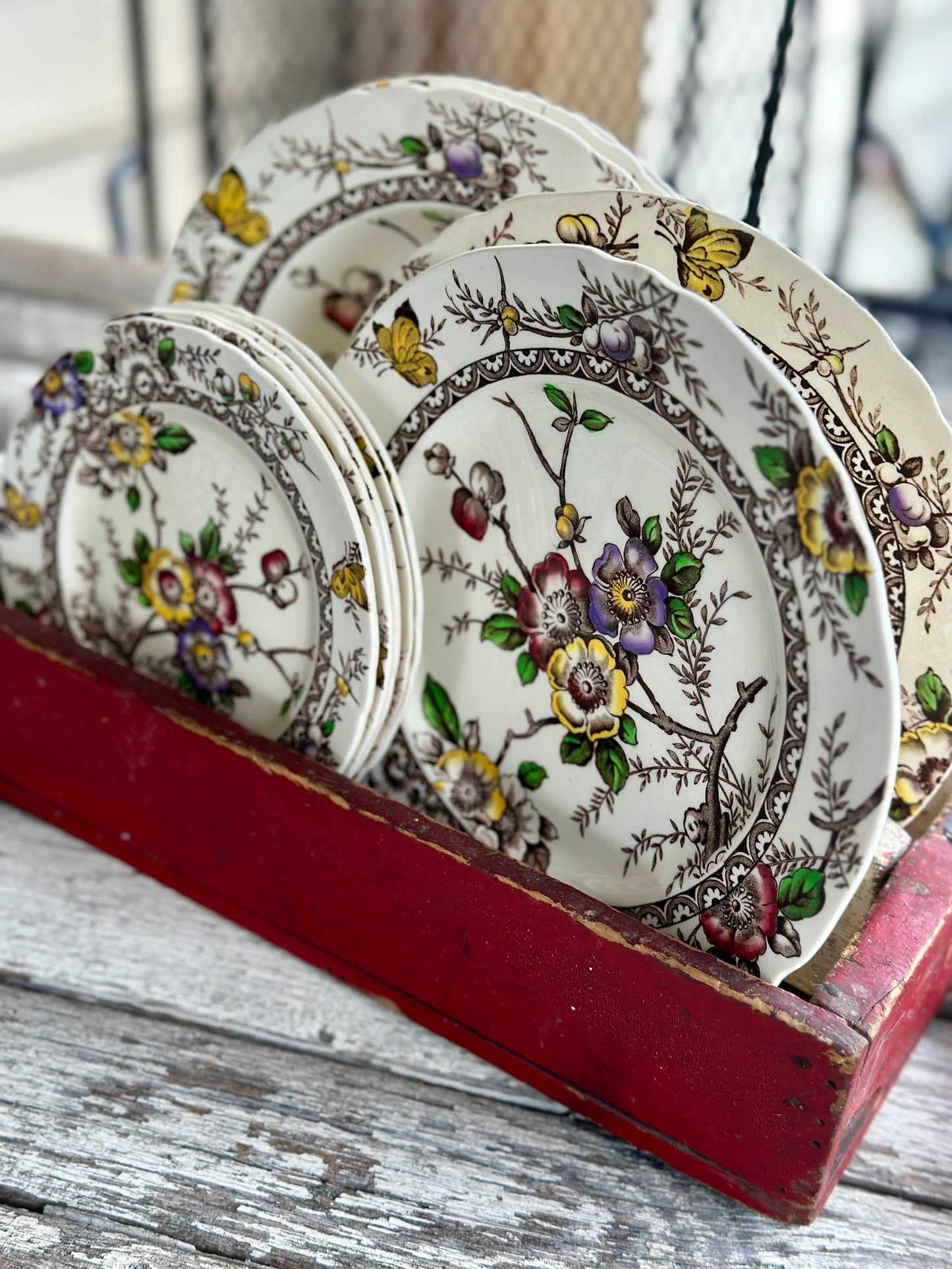 Medway 8" Salad/Luncheon Plates (9)