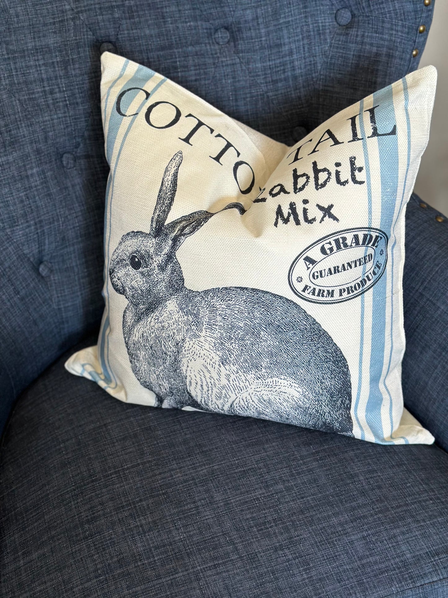 Bunny Farmhouse Pillows (Set of 2)