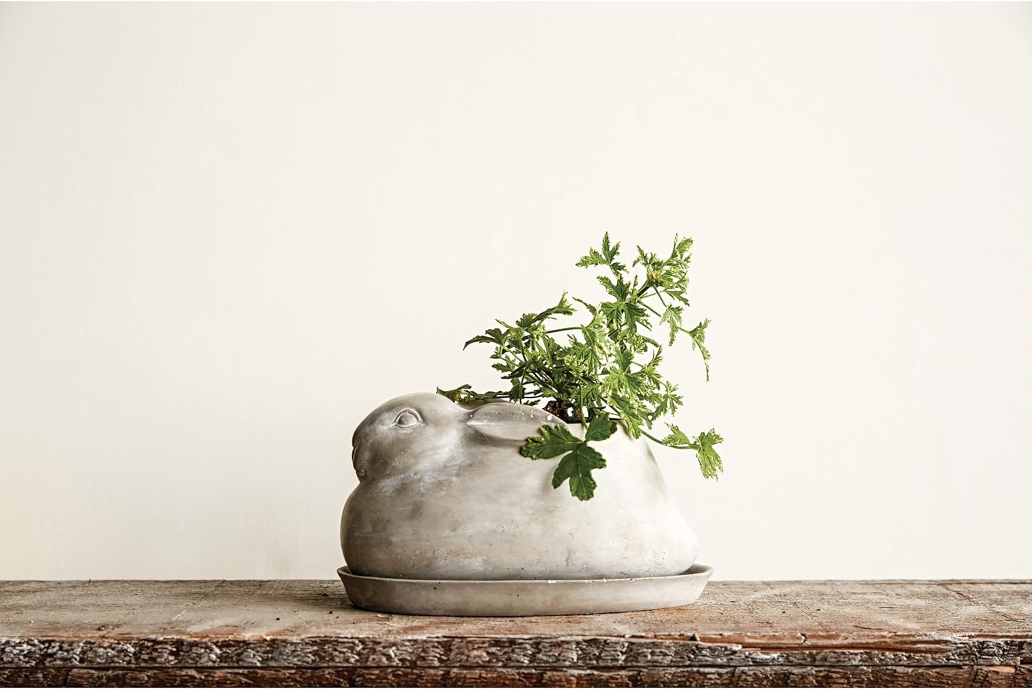 Rabbit Planter with Saucer – The Tended Table